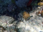 resIMG_20180715_143938_P7150844.JPG